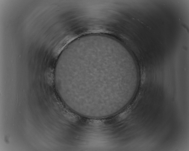 X0000103971361200810101258