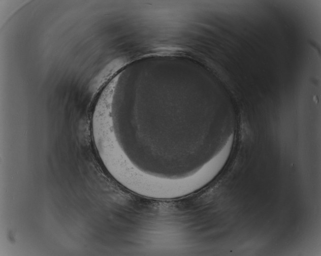 X0000103971362200810101258