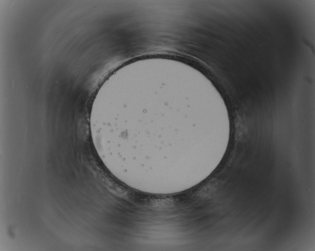 X0000103971363200810101258