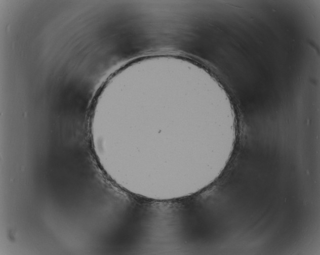 X0000103971364200810101258