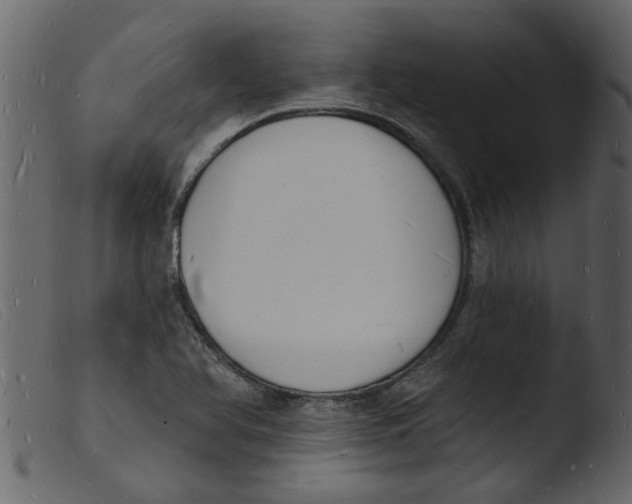 X0000103971366200810101258