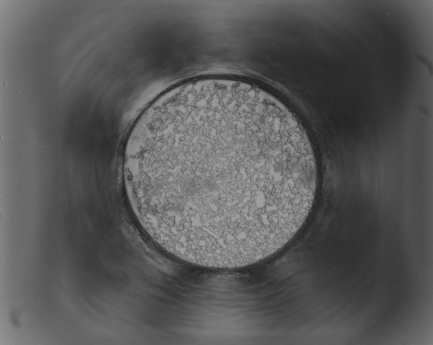 X0000103971367200810101258