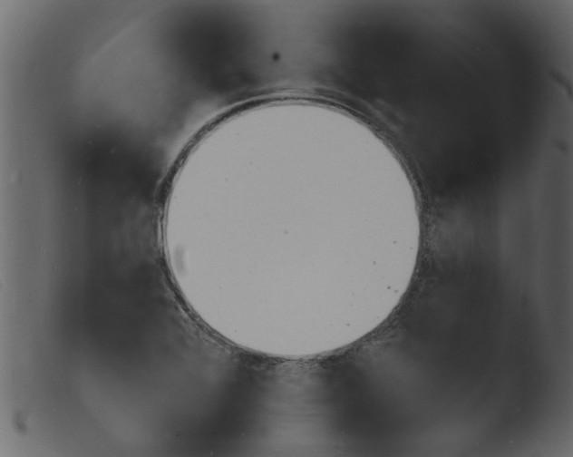 X0000103971368200810101258