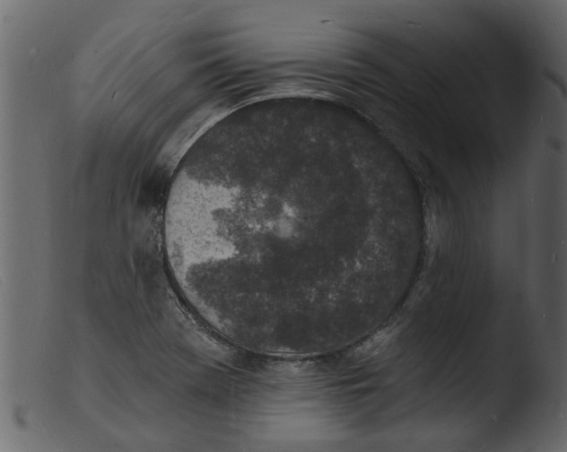 X0000103971369200810101258