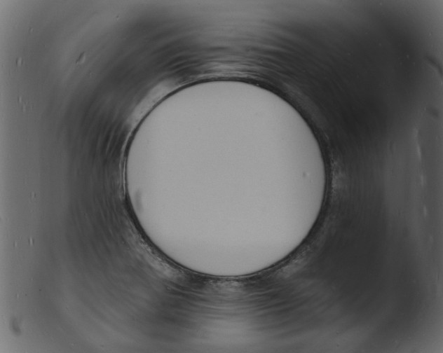 X0000103971370200810101258