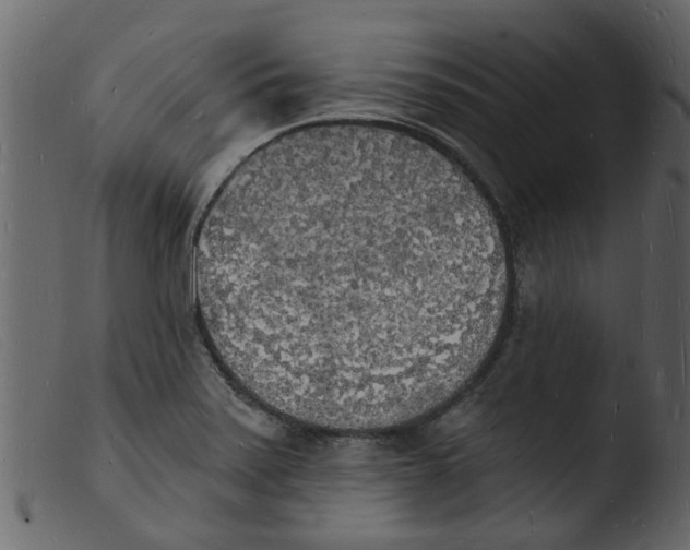 X0000103971371200810101258