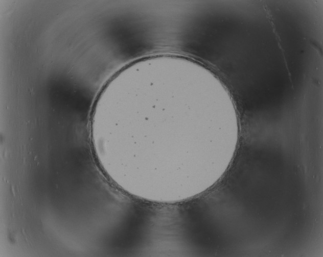 X0000103971372200810101258