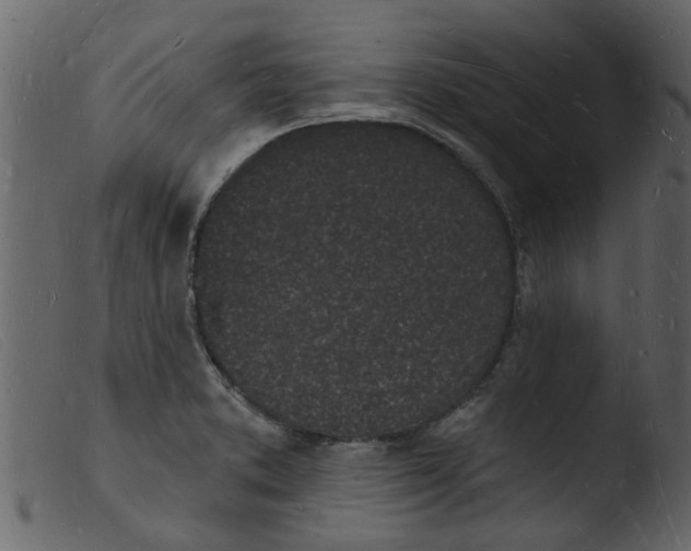 X0000103971373200810101258