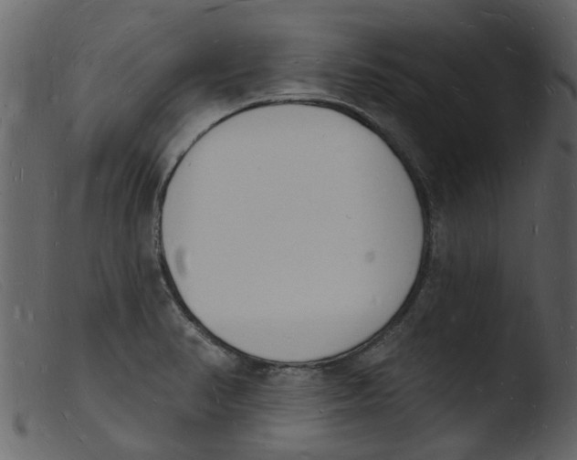 X0000103971374200810101258