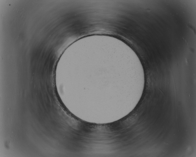 X0000103971375200810101258