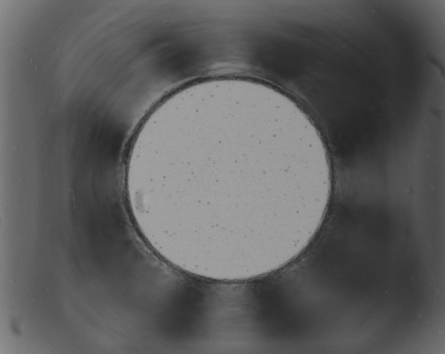 X0000103971376200810101258