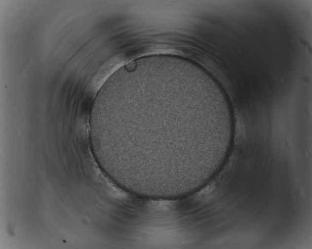 X0000103971377200810101258