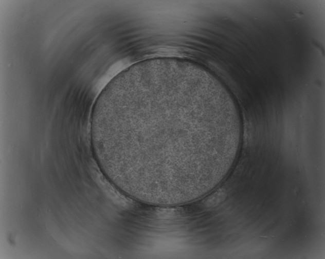 X0000103971378200810101258