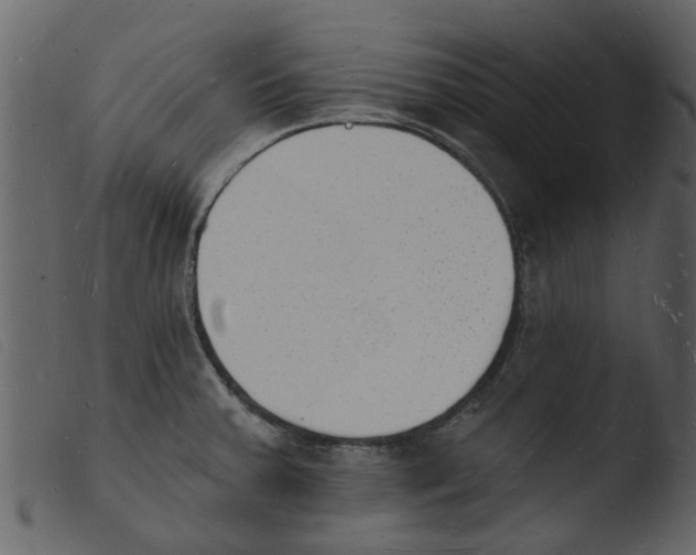 X0000103971379200810101258