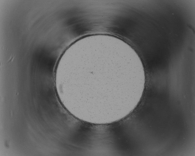 X0000103971380200810101258