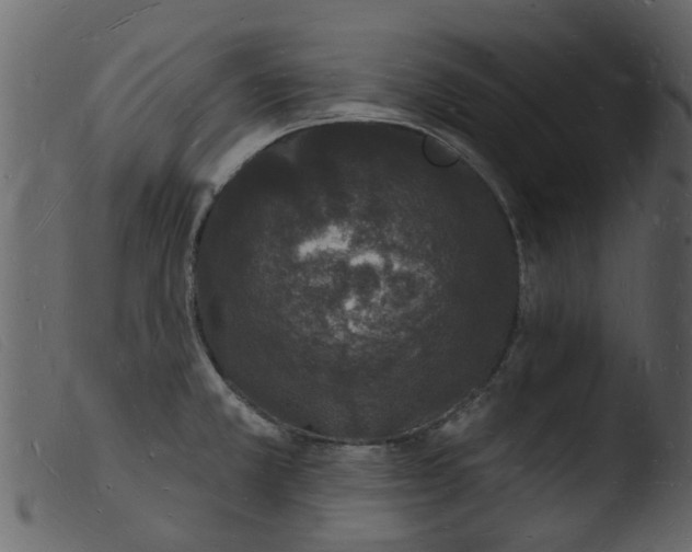 X0000103971381200810101258