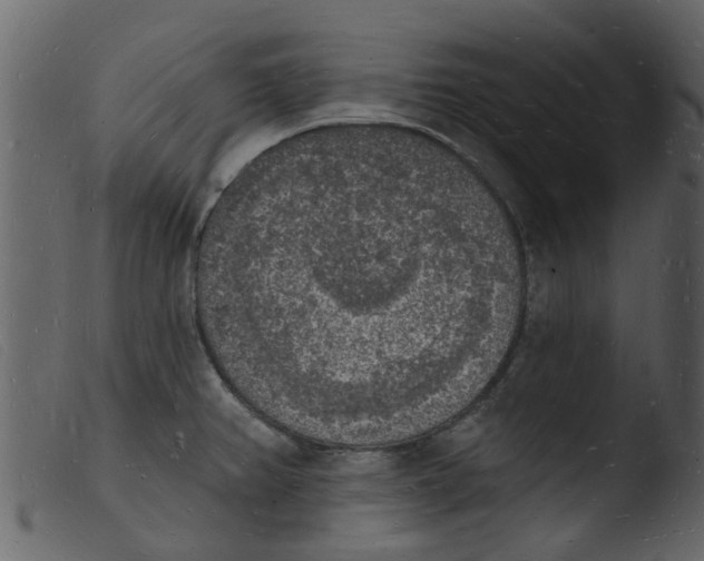 X0000103971382200810101258