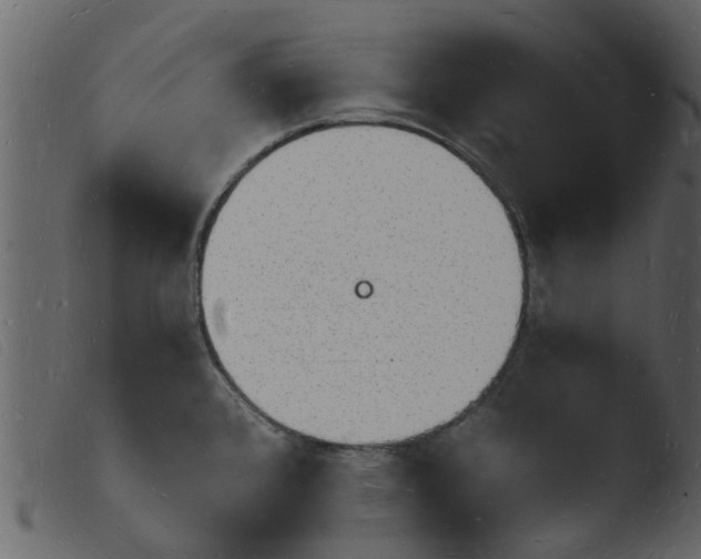 X0000103971384200810101258