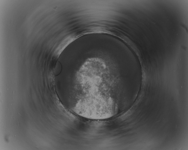 X0000103971385200810101258