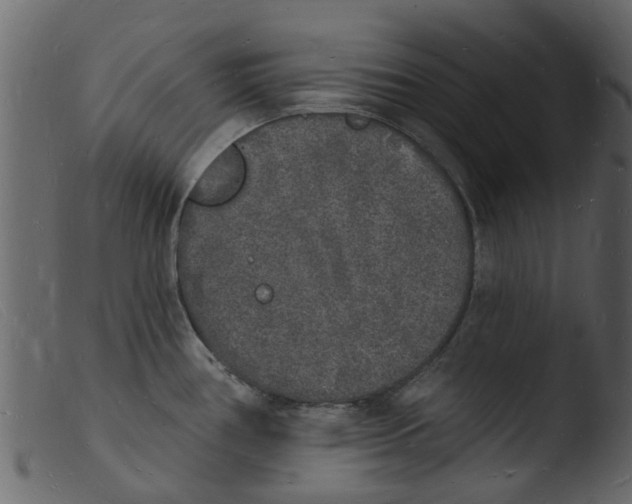 X0000103971386200810101258