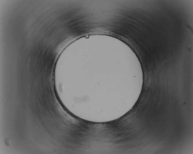 X0000103971387200810101257