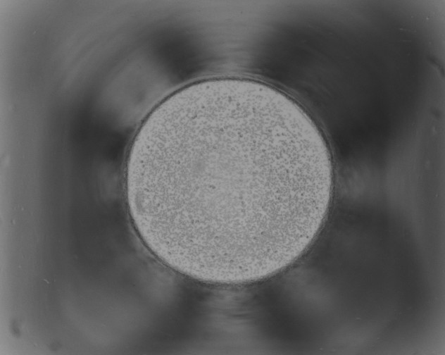 X0000103971388200810101257