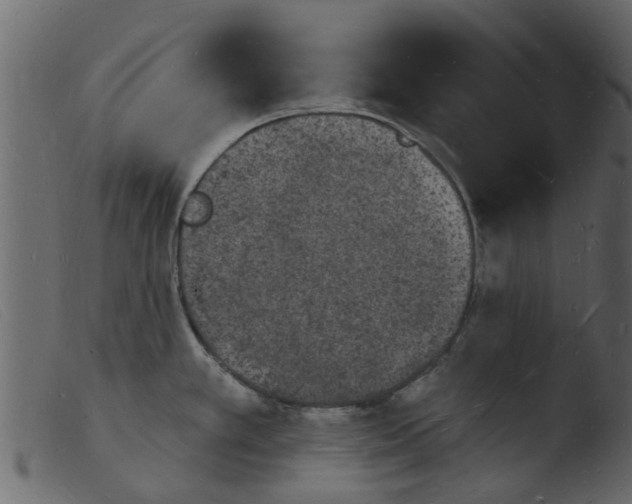 X0000103971389200810101257