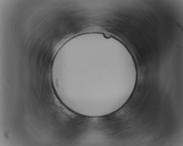 X0000103971390200810101257