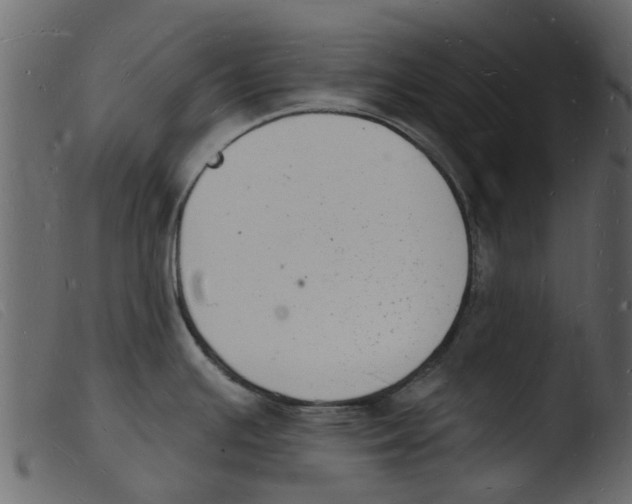 X0000103971391200810101257