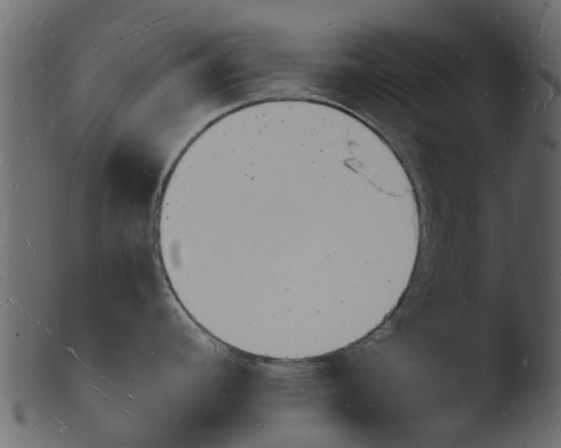 X0000103971392200810101257