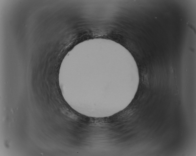 X0000103971393200810101257