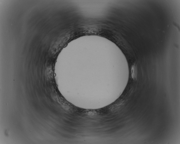 X0000103971395200810101257