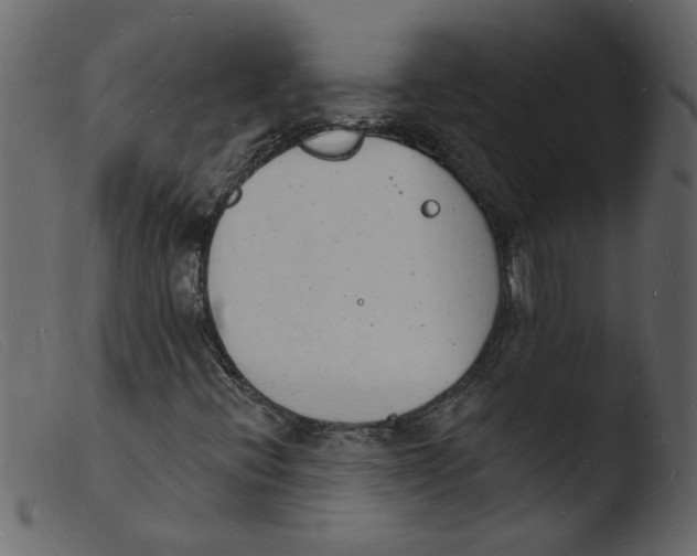 X0000103971396200810101257