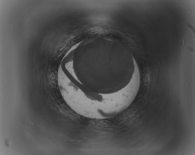 X0000103971397200810101257