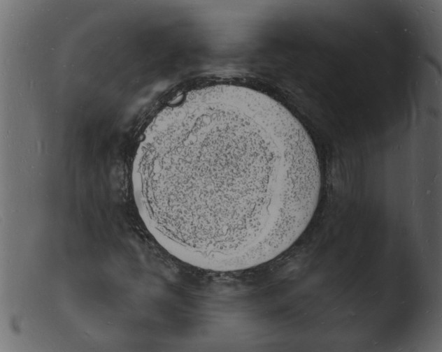 X0000103971398200810101257