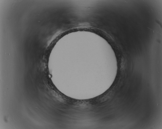 X0000103971400200810101257