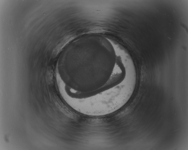 X0000103971401200810101257