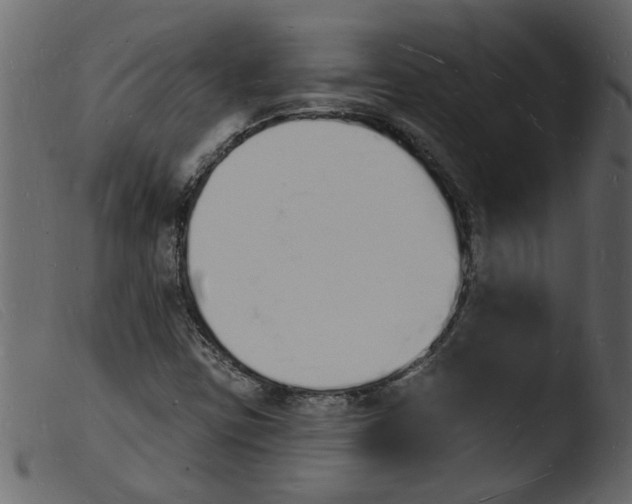 X0000103971403200810101257