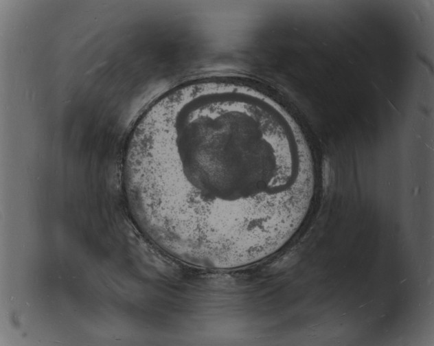 X0000103971405200810101257