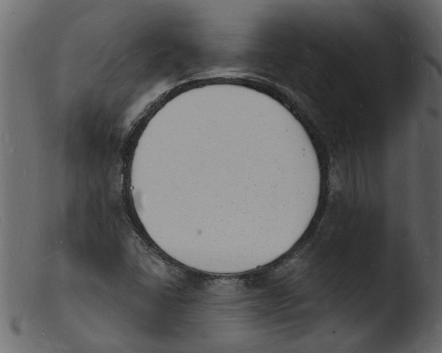 X0000103971406200810101257