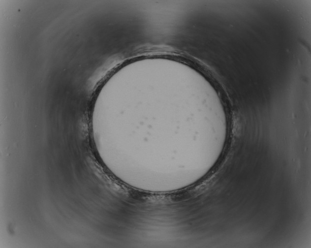 X0000103971407200810101257