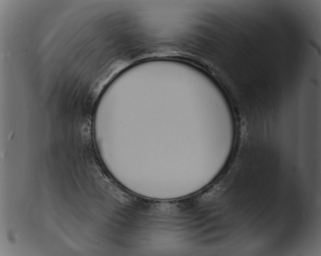 X0000103971409200810101257