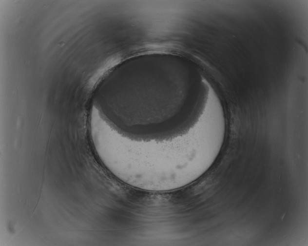 X0000103971411200810101257