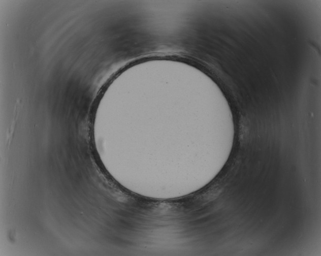 X0000103971412200810101257