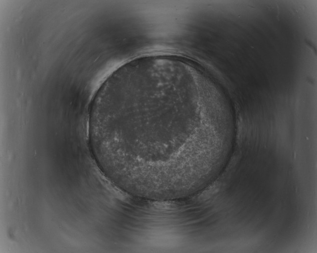 X0000103971413200810101257