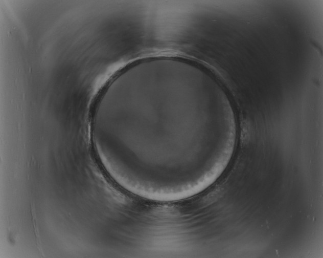 X0000103971414200810101257