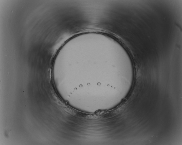 X0000103971415200810101257