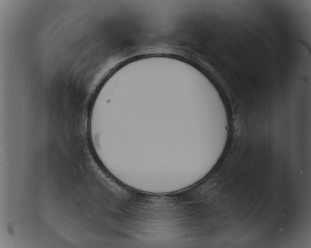 X0000103971416200810101257