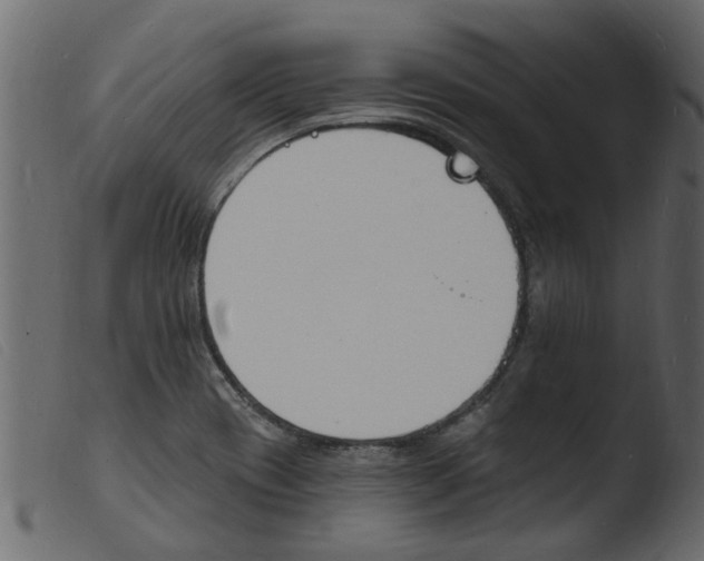 X0000103971417200810101257