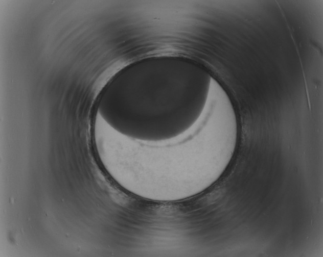 X0000103971418200810101257